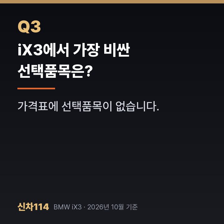 iX3에서 가장 비싼 선택품목은?