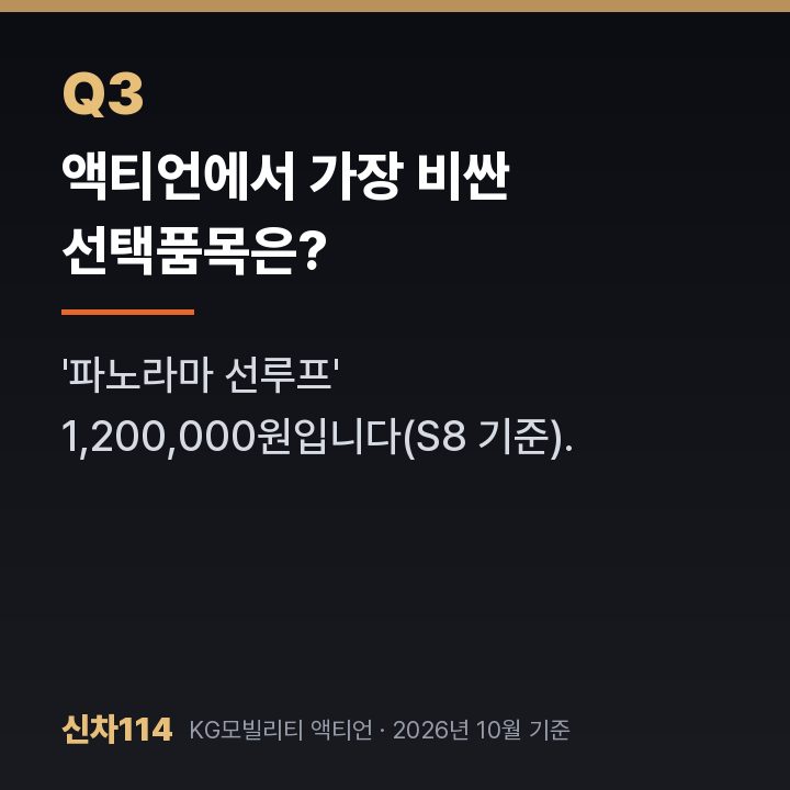 액티언에서 가장 비싼 선택품목은?