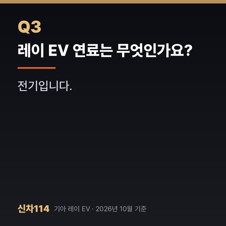 레이 EV 연료는 무엇인가요?