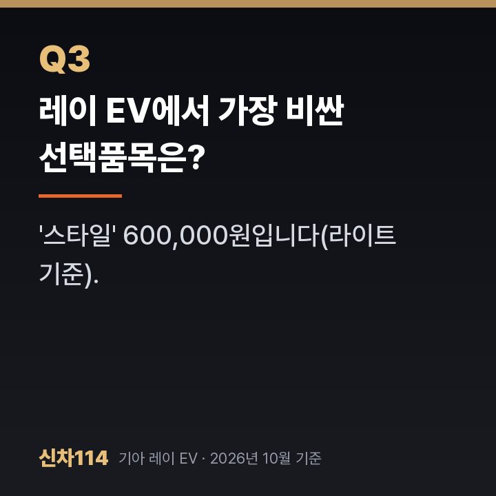 레이 EV에서 가장 비싼 선택품목은?