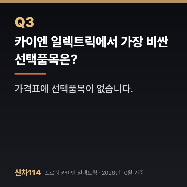 카이엔 일렉트릭에서 가장 비싼 선택품목은?