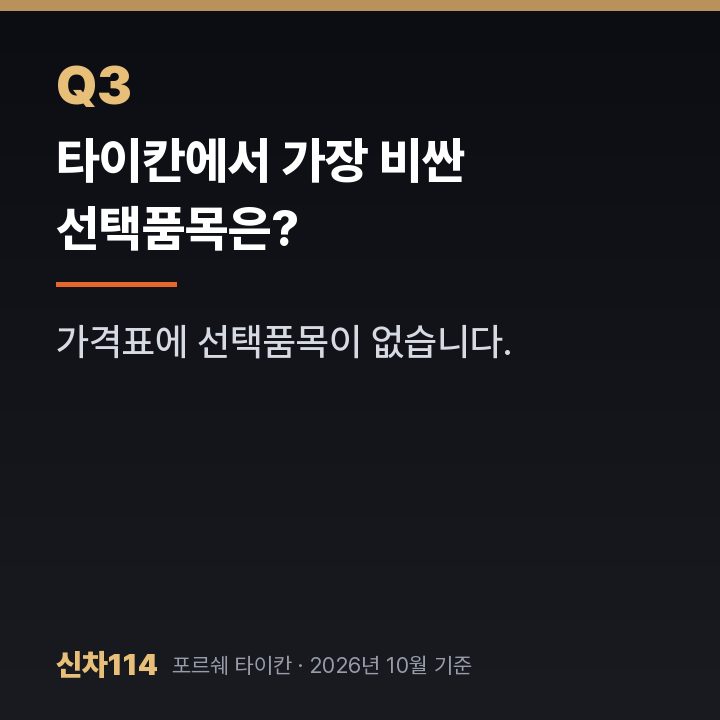 타이칸에서 가장 비싼 선택품목은?